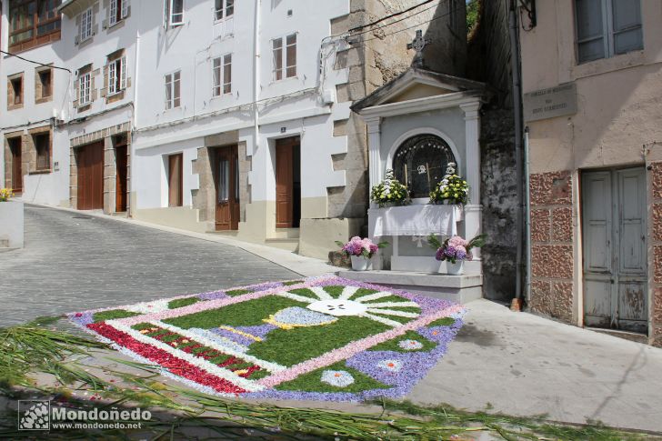 Domingo de Corpus
En procesión
