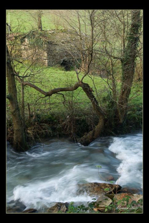 Paisaje fluvial
Foto enviada por Manuel Díaz
