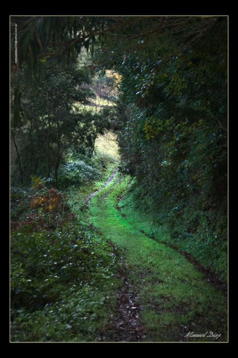 Sendero
Foto enviada por Manuel Díaz
