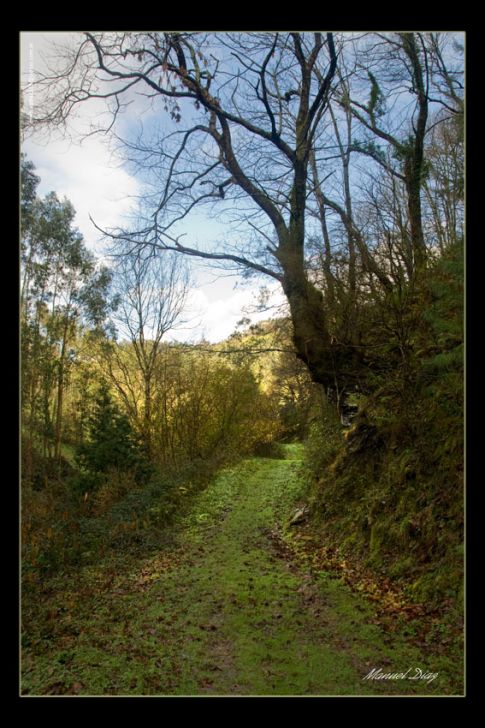 Sendero
Foto enviada por Manuel Díaz
