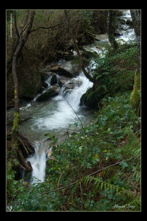 Paisaje fluvial
Foto enviada por Manuel Díaz
