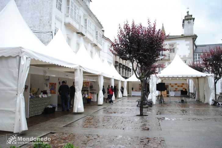 Comercio na rúa
Jornadas organizadas por ACIAM
