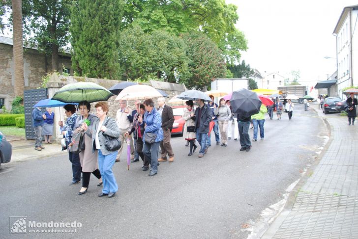 Fiestas de San Lázaro
Procesión
